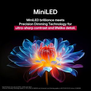 LG 100 inch QNED evo MiniLED Precision Dimming contrast visualization
