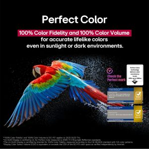 LG 65 inch OLED evo Perfect Color parrot detail with rich hues