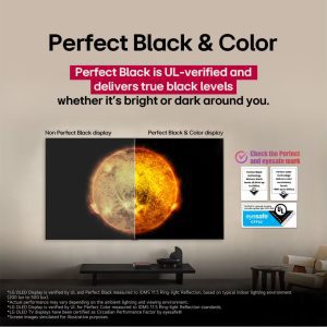 LG 77 inch OLED evo Perfect Black and Perfect Color demonstration