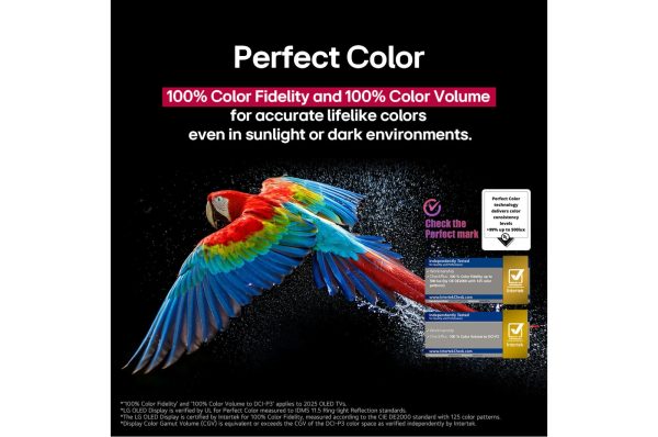 LG 77 inch OLED evo Perfect Color parrot detail with rich hues
